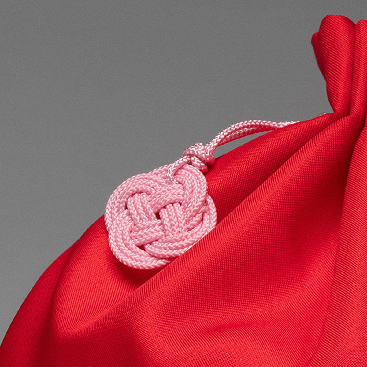 Lazy Essentialist Pouch